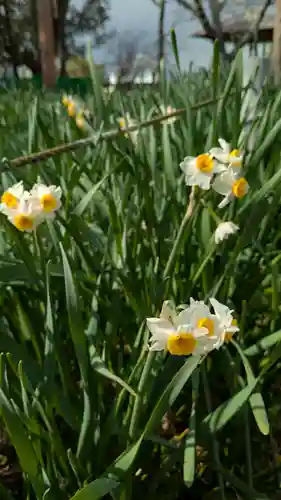 惠心院（恵心院）(京都府)