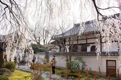 本満寺(本願満足寺)のその他建物