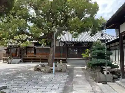 浄蓮寺(兵庫県)