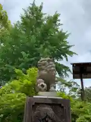 八坂神社(祇園さん)の狛犬