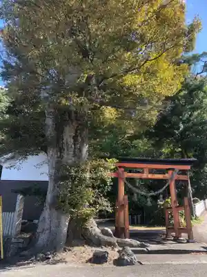 紀部神宮(大阪府)