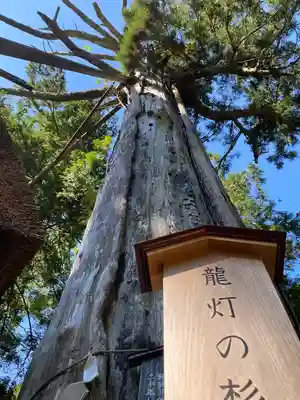 元伊勢内宮 皇大神社(京都府)