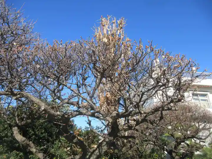本願寺(東京都)