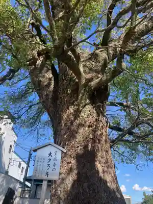 宝泉寺の自然
