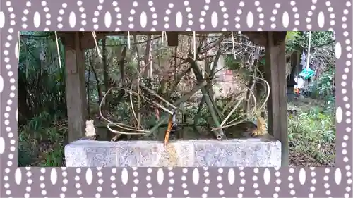 今市瀧尾神社(栃木県)