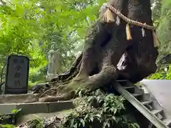 笠森寺(千葉県)