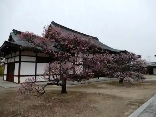 薬師寺のその他建物