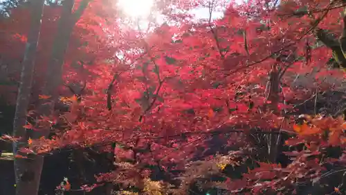 養父神社の景色