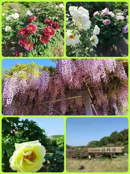 金蛇水神社(宮城県)