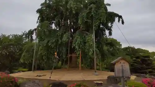 東寺（教王護国寺）(京都府)