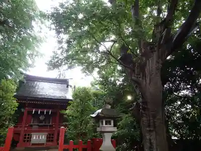 由比若宮(元鶴岡八幡宮)の本殿・本堂