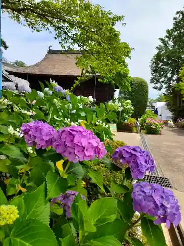 性海寺の本殿・本堂