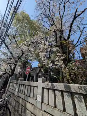 自由が丘熊野神社(東京都)