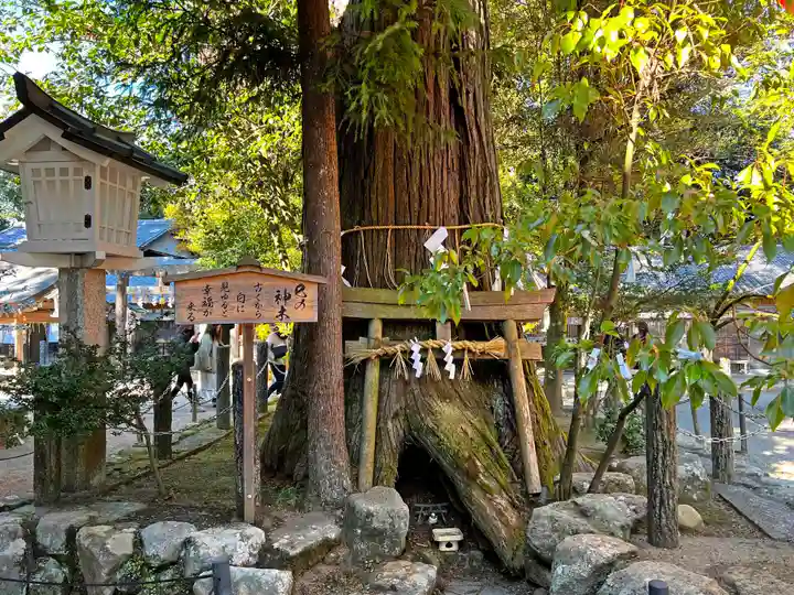 大村神社の自然