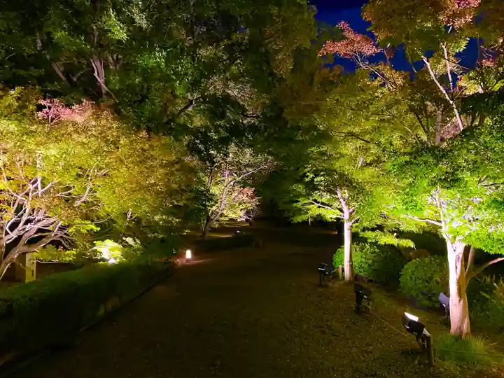 東寺(教王護国寺)(京都府)