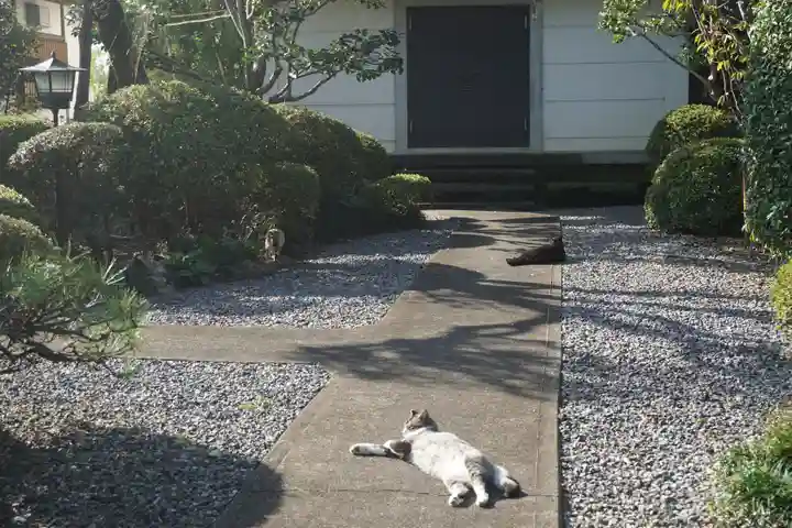 唐澤山神社の動物