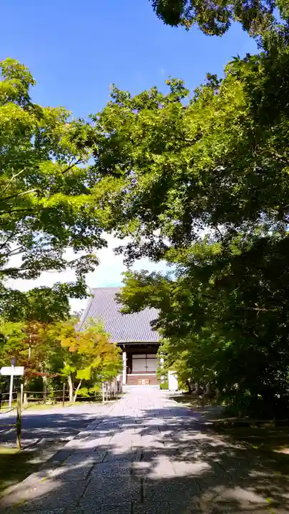 光明寺(粟生光明寺)の末社・摂社