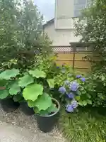 行願寺(革堂)(京都府)