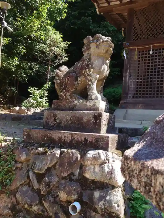 宇治上神社の狛犬
