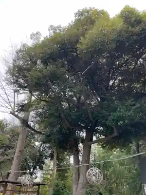 菊田神社(千葉県)
