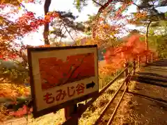 足利織姫神社の自然