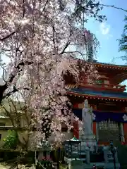 新井薬師（梅照院）の末社