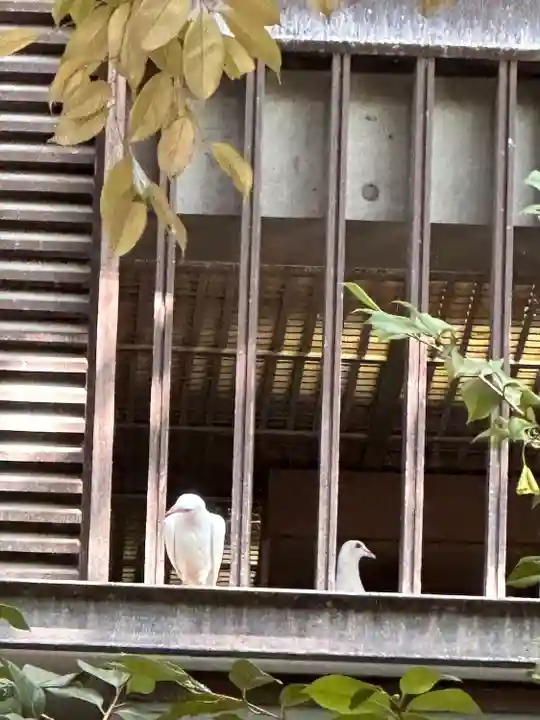 靖國神社(東京都)