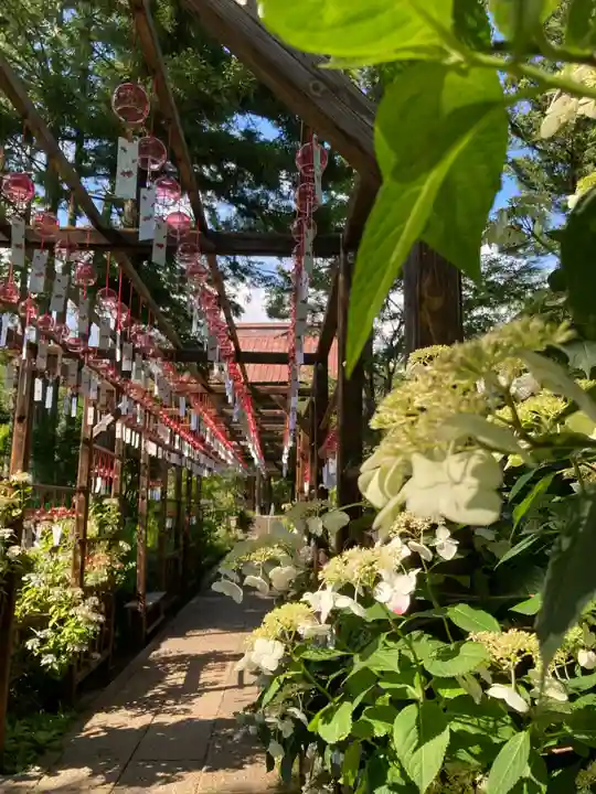 青龍山 吉祥寺(群馬県)