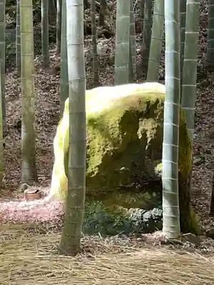 報国寺(神奈川県)
