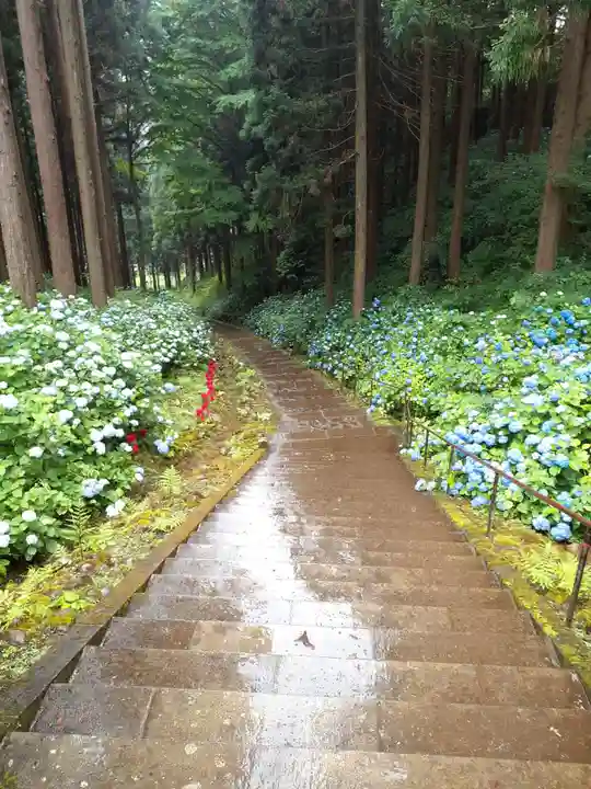 天台寺(岩手県)