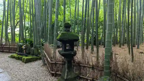 報国寺の景色