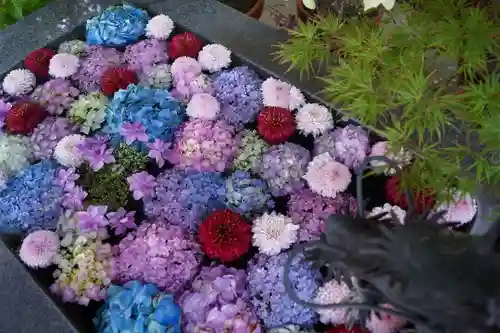 東海市熊野神社の手水舎
