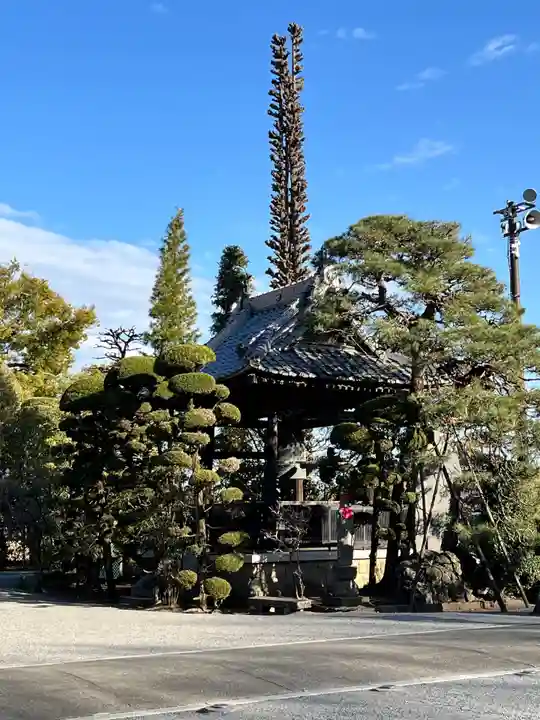 照明寺 (反町薬師尊)(群馬県)