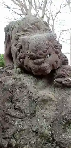 今井神社の狛犬