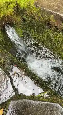 東森稲荷神社(北海道)
