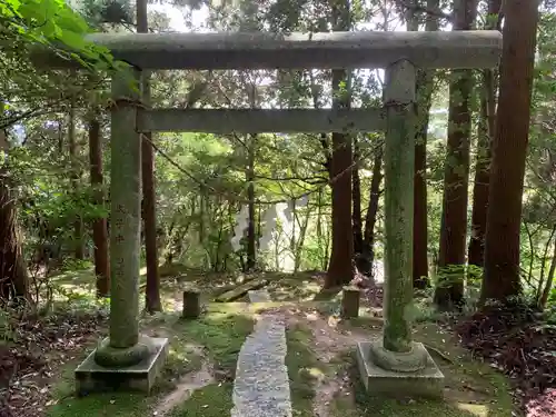 琴平神社の鳥居