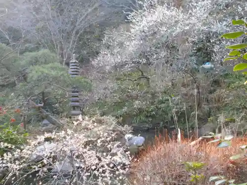 光則寺の庭園