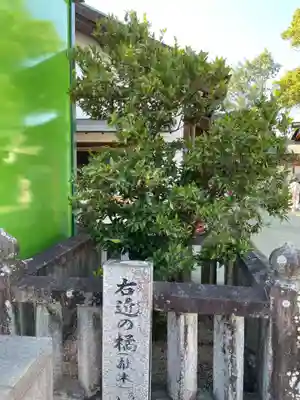 田村神社(香川県)