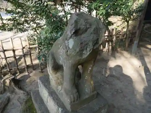 三渓園天満宮の狛犬