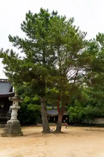 白鳥神社(香川県)