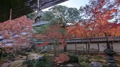 禅林寺(永観堂)(京都府)