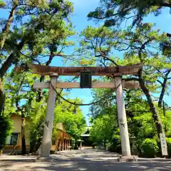 浜松八幡宮の鳥居