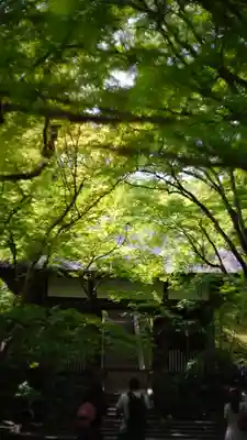 常寂光寺(京都府)