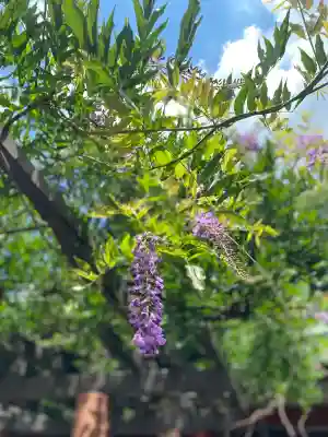 日枝神社(東京都)