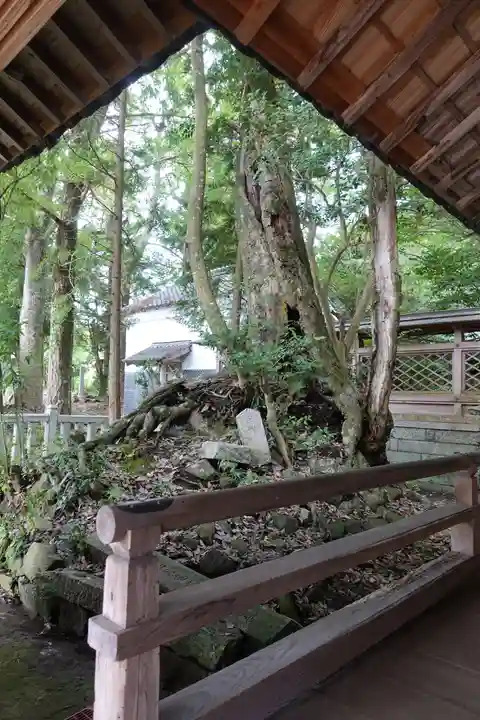 波多岐神社の自然