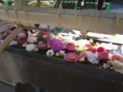 鳩森八幡神社(東京都)