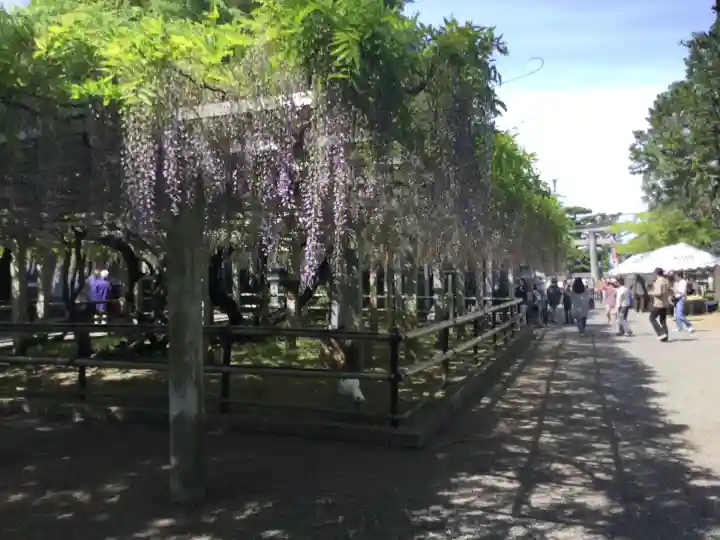 三大神社(滋賀県)