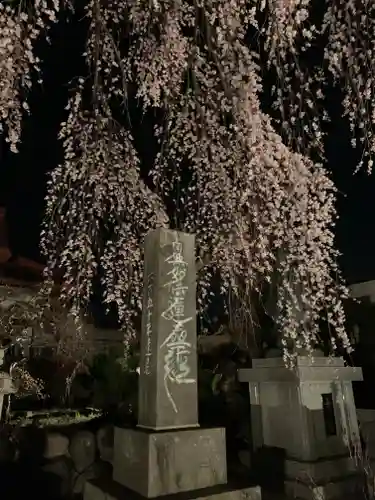 妙道寺(栃木県)