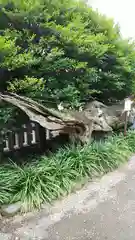 瀬戸神社の自然