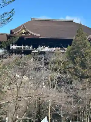 清水寺の{uncategorized: "未分類", other: "その他", undefined: "問題あり", building: "その他建物", grave: "お墓", sacred_gate: "鳥居", guardian: "狛犬", statue: "像", buddha: "仏像", history: "歴史", nature: "自然", garden: "庭園", animal: "動物", pagoda: "塔", temizu: "手水舎", mountain_gate: "山門・神門", sanctuary: "本殿・本堂", subordinate: "末社・摂社", art: "芸術", scenery: "景色", jizo: "地蔵", ema: "絵馬", goshuin: "御朱印", omikuji: "おみくじ", items: "授与品その他", amulet: "お守り", goshuincho: "御朱印帳", eats: "食事", festival: "お祭り", votive_dance: "神楽", shichigosan: "七五三参", wedding: "結婚式", experience: "体験その他", initially: "初詣", around: "周辺", anti_infection: "感染症対策"}